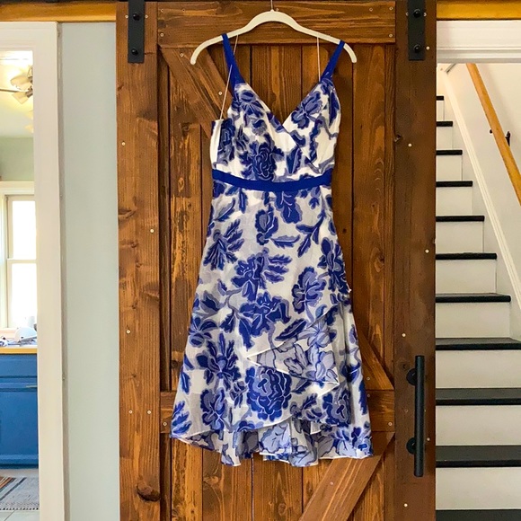 Adrianna Papell tea length dress - Picture 1 of 4